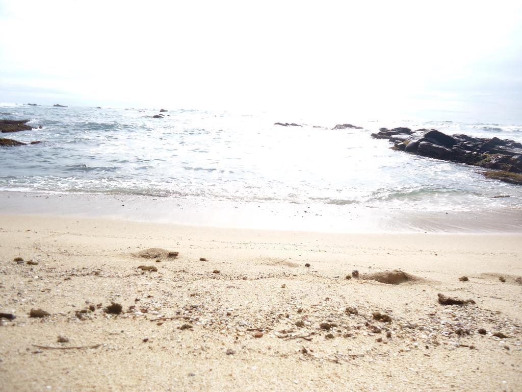 Masha Beach Inn تانجالي المظهر الخارجي الصورة